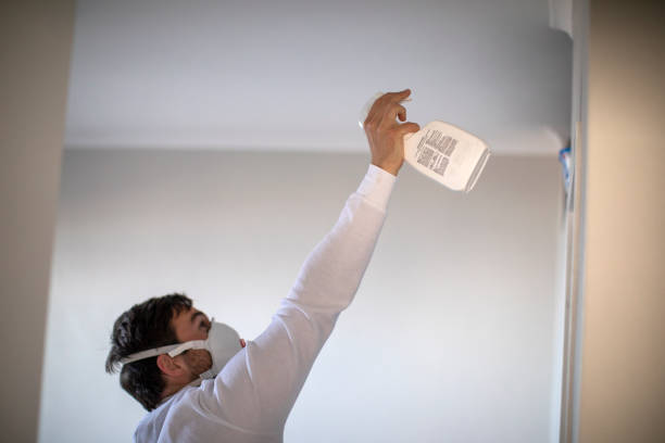 Trusted Robersonville, NC Mold Removal Experts